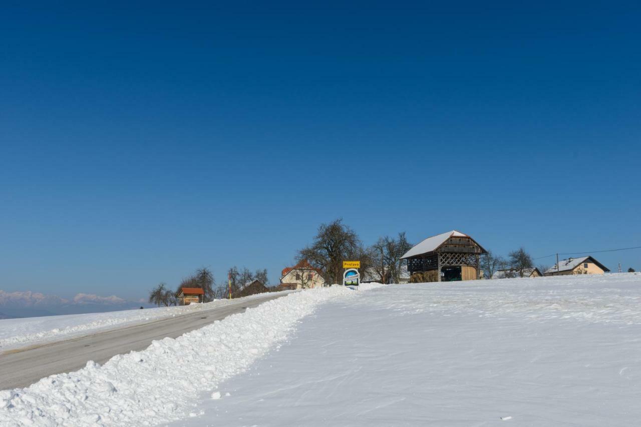 Holiday Home Virida, App Leopold III Ivancna Gorica Exterior foto