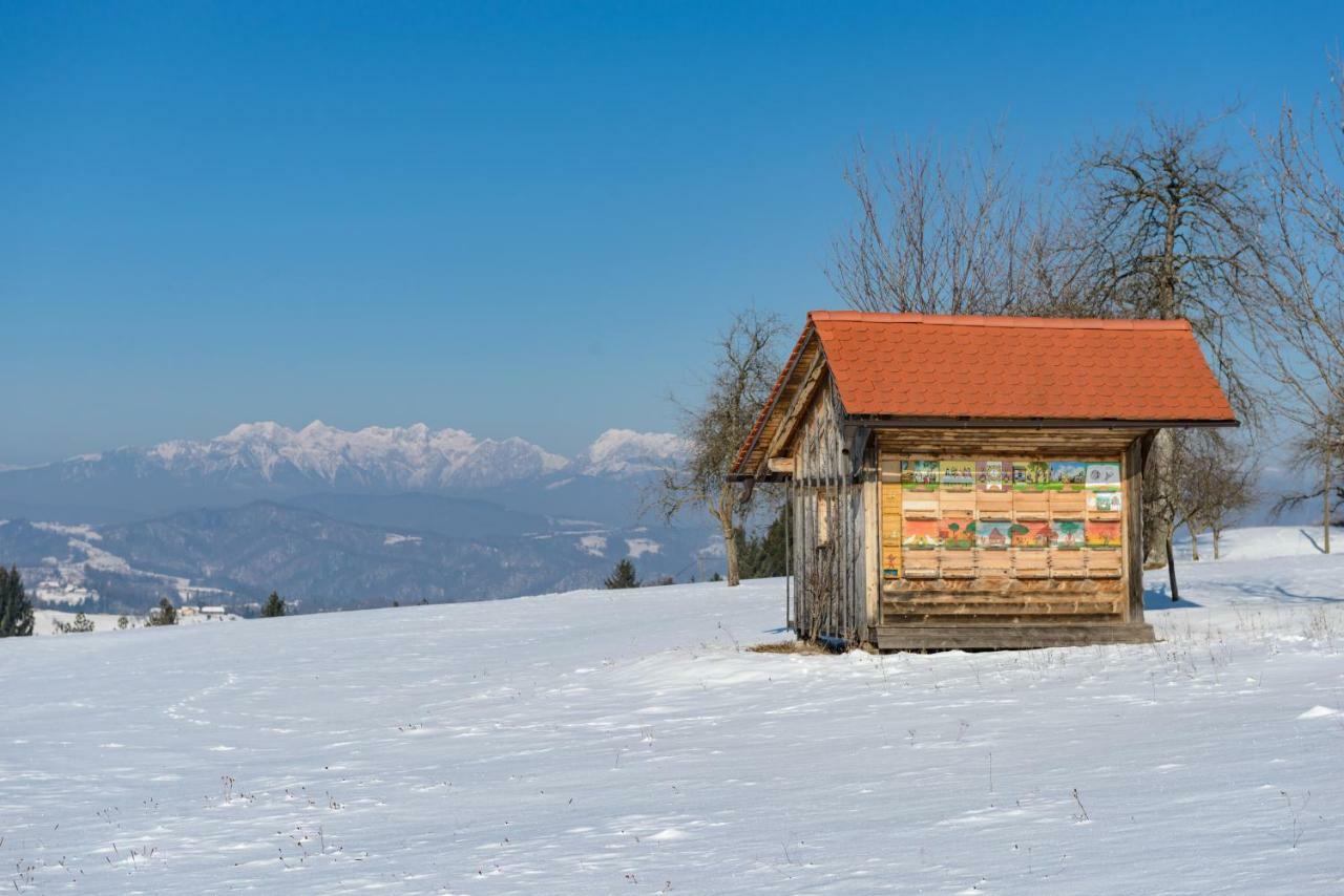 Holiday Home Virida, App Leopold III Ivancna Gorica Exterior foto